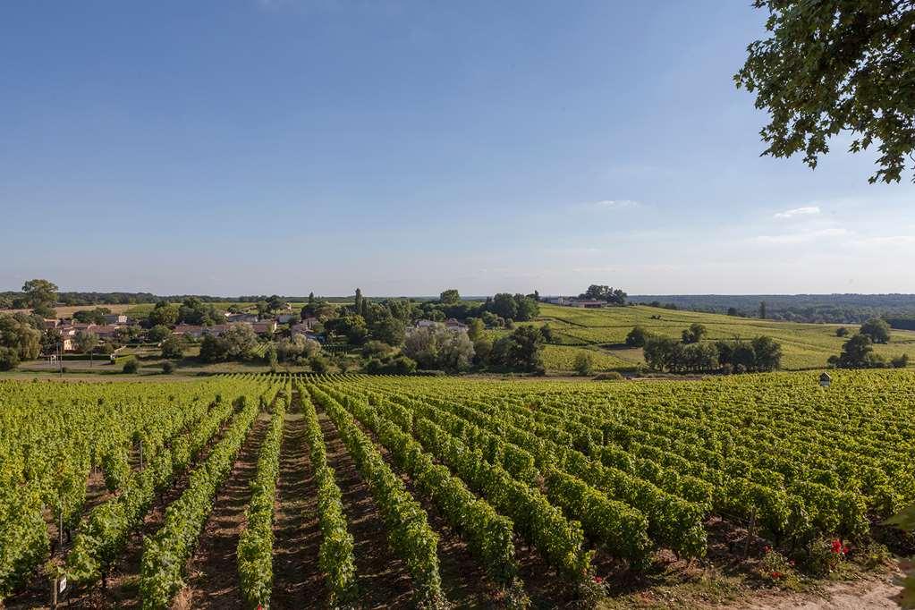 Chateau D'Arche, Grand Cru Classe De Sauternes Létesítmények fotó