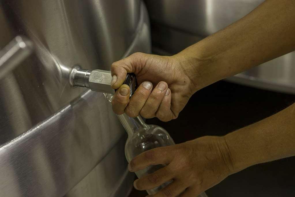 Chateau D'Arche, Grand Cru Classe De Sauternes Létesítmények fotó