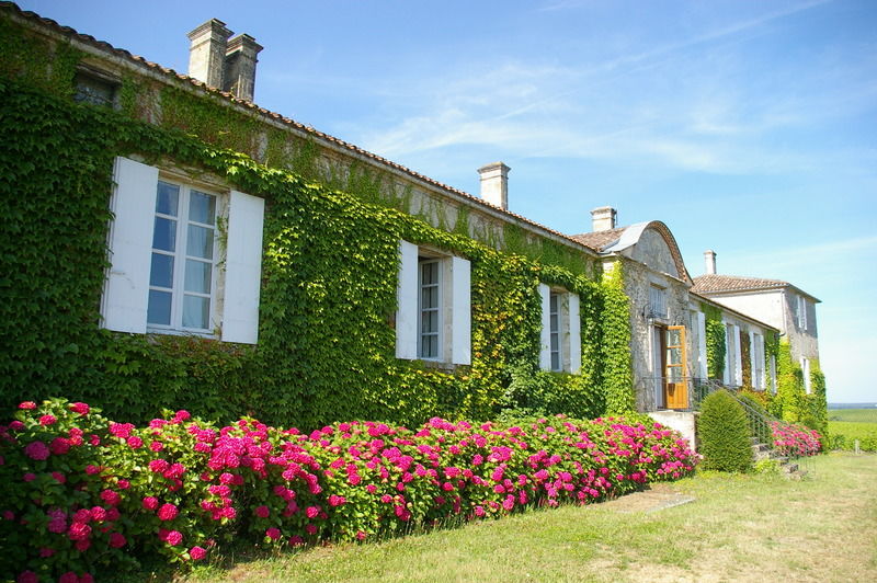 Chateau D'Arche, Grand Cru Classe De Sauternes Kültér fotó