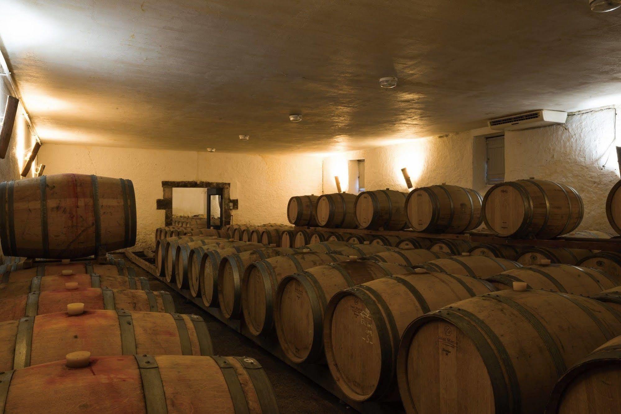 Chateau D'Arche, Grand Cru Classe De Sauternes Kültér fotó