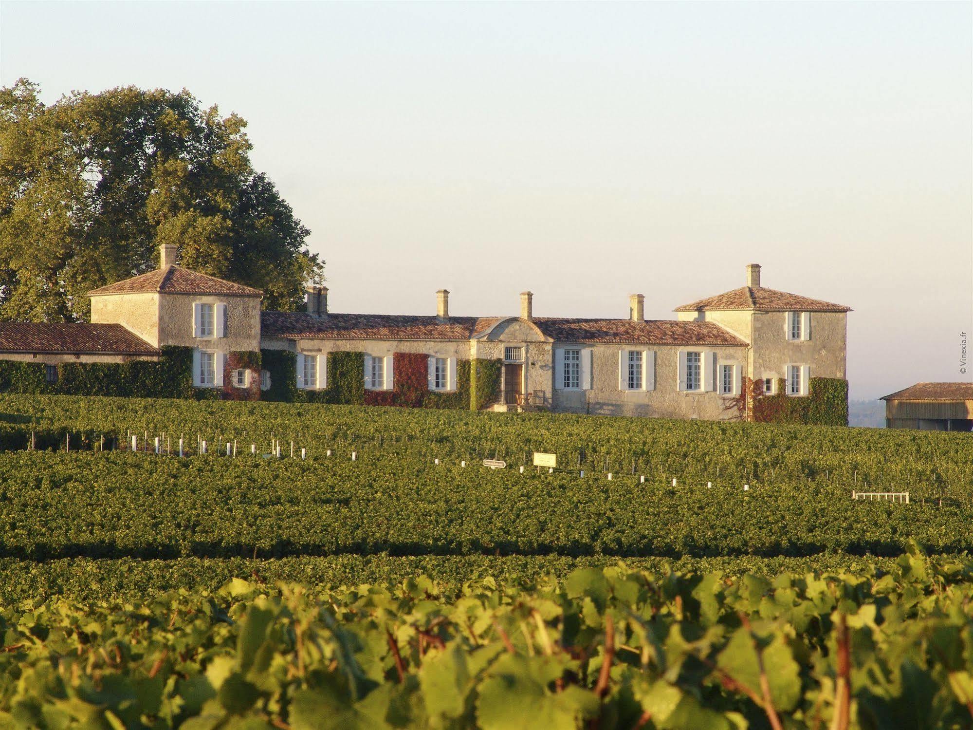 Chateau D'Arche, Grand Cru Classe De Sauternes Kültér fotó